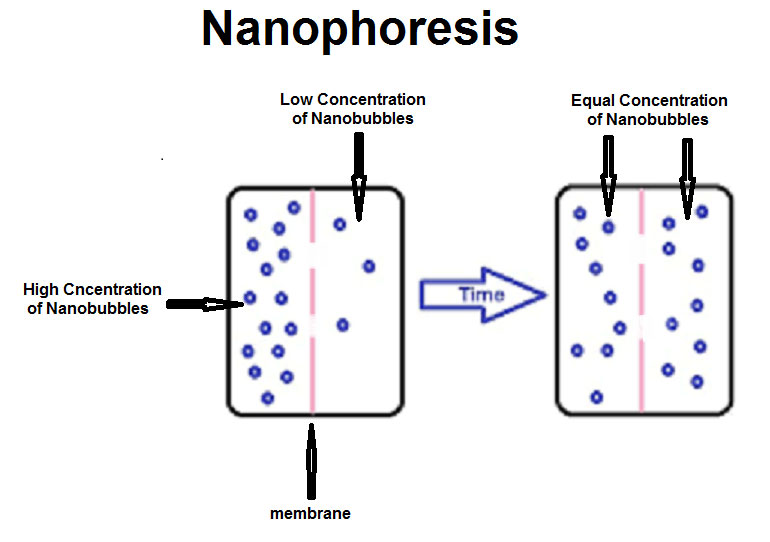 NanoPhoresis